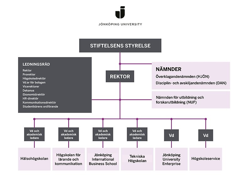 Organisationsskiss
